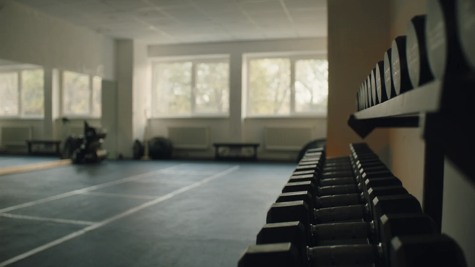 Moderni šviesi sporto salė su tvarkingai sudėtais svarmenimis ir treniruoklių zona